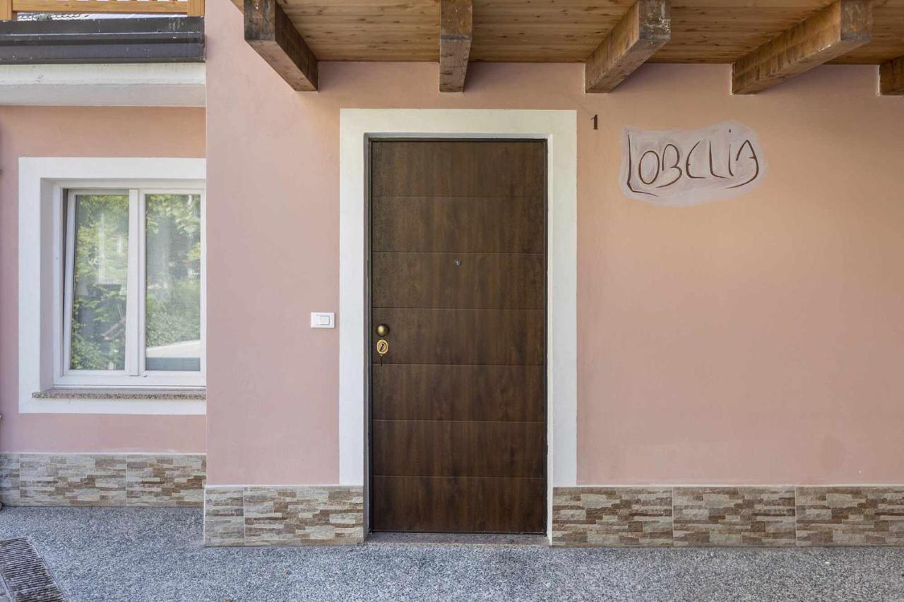 Agritur Horizon Apartment Carzano  Exterior photo